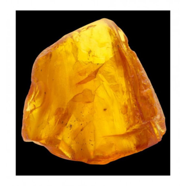 CARIBBEAN 15ML
